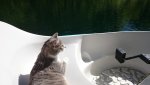 catboatDSC_0467.jpg