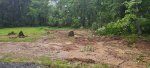 20220810_184503.jpg 20220810_184503.jpg