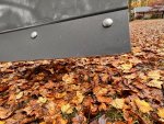 IMG_0454.jpeg