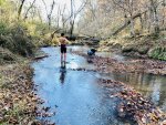 boy and dogs in creek2.jpg