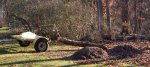 DSCN5051.jpg