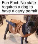 1677360917033.png