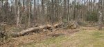 20230317_101536.jpg 20230317_101536.jpg