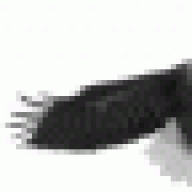 Redstart97
