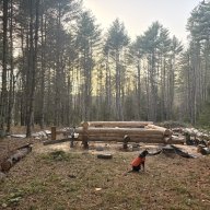 Wooddog63