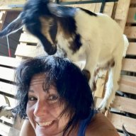 Goat girl