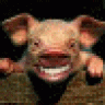 earthpig