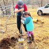 RunAmok Ranch