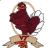 hokiebt