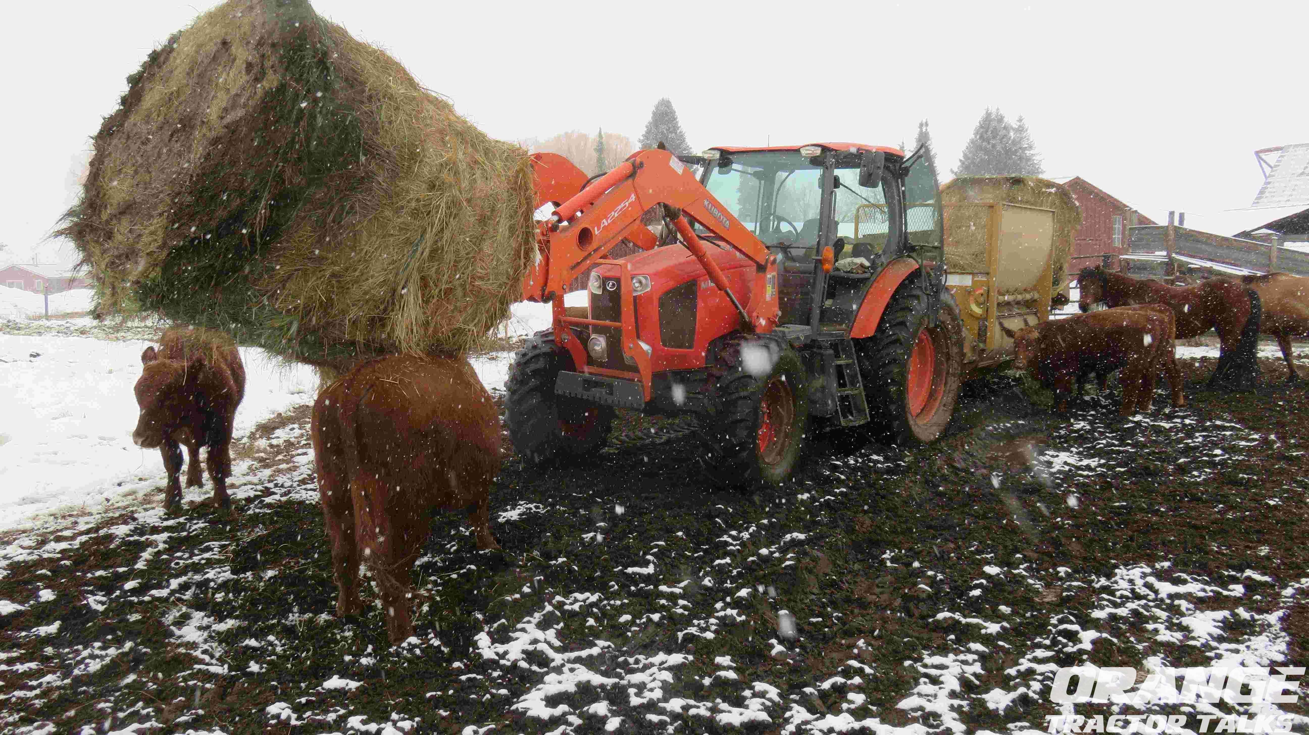 Snowy day, mud season, 30 Mar 2025